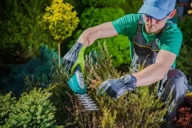 landscaping services Lafitte